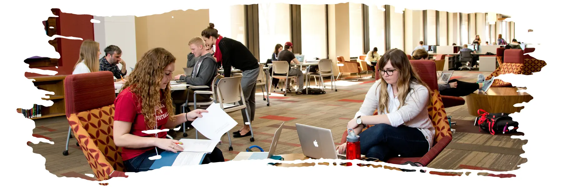 Students studying in a library