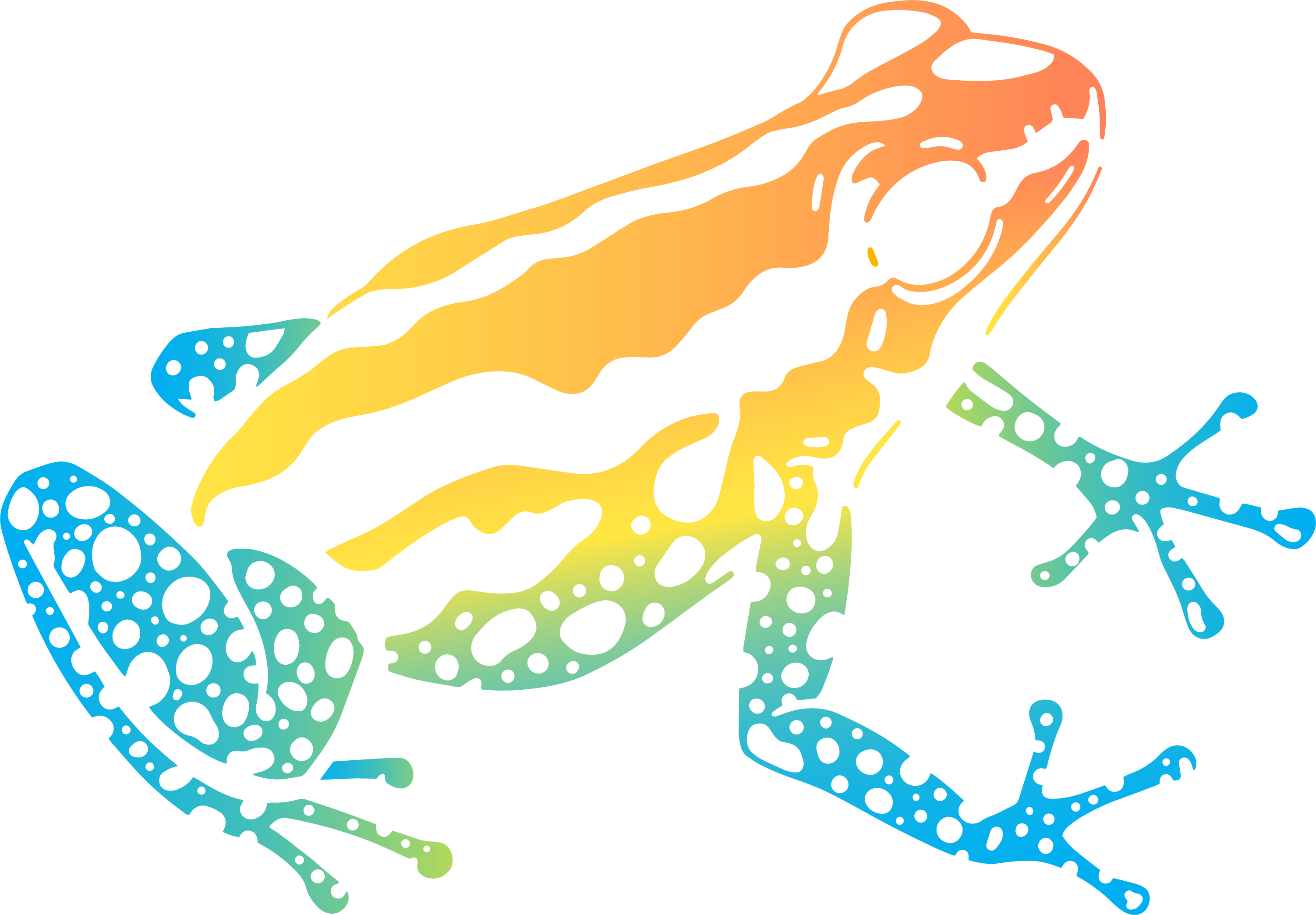 a frog 